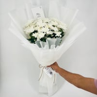 5058 - Image 1