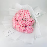 5033 - صورة 3
