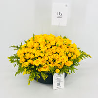 15387 - صورة 4