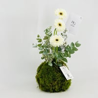 13678 - Image 3