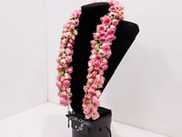 3672 - صورة 2