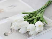 4293-120 - صورة 1