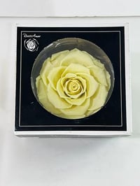 4775 - صورة 1