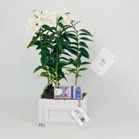 12788 - Image 4