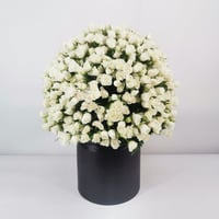 16543 - Image 1
