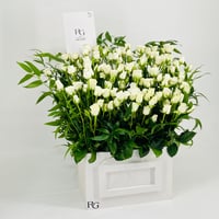 9933-415 - صورة 2