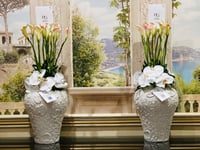 12915 - Image 4