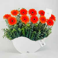 12527 - صورة 2