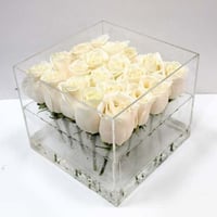 554 - صورة 1