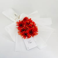 14276 - Image 2
