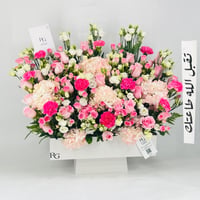 12743 - Image 2
