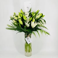 8165-168 - صورة 1