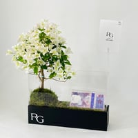 12055 - Image 3