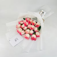 12597 - Image 2