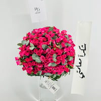 13959 - صورة 4
