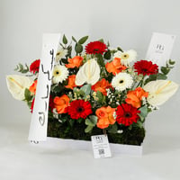 12097-752 - صورة 3