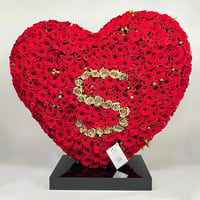 10985-490 - صورة 1