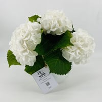 2606 - صورة 2