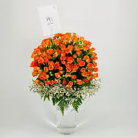 9916-801 - صورة 1