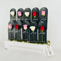 13958 - صورة 2