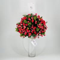8591-495 - صورة 2