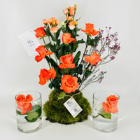13293 - صورة 5