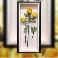 3000-284 - صورة 1