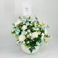 11377-714 - صورة 2