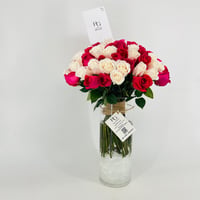 13353 - صورة 5