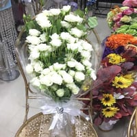 470 - صورة 1