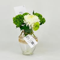 11717-570 - صورة 2