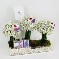 9220 - صورة 2