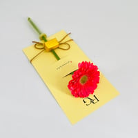 9952 - صورة 2