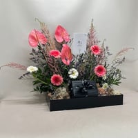 7718 - صورة 3