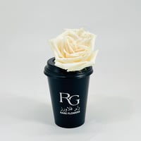 10810 - صورة 1