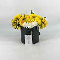 4923-42 - صورة 1
