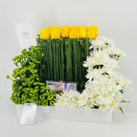 9148 - صورة 3