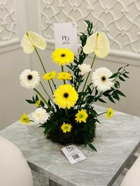 10872-578 - صورة 2