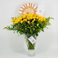 4664 - صورة 1