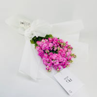 14238 - Image 2