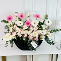 17341 - صورة 2