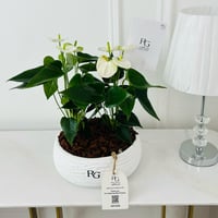 15402 - Image 1