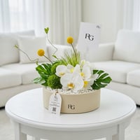 26873 - Image 1