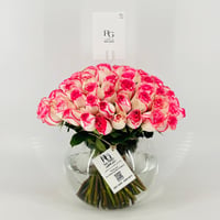 13279 - Image 1