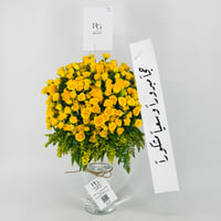 12657 - صورة 2
