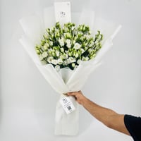 9254 - Image 1