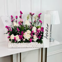 17062 - Image 1