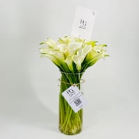 10244-567 - صورة 2
