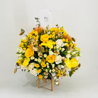 10630-173 - Image 1