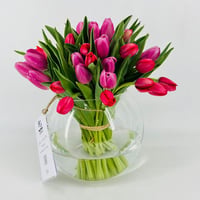 539-23 - صورة 2
